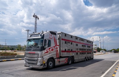 Transport se zvířaty vjíždí do Turecka - Nevinné oběti